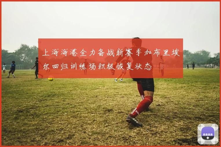 上海海港全力备战新赛季加布里埃尔回归训练场积极恢复状态