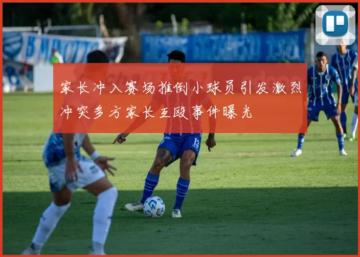 家长冲入赛场推倒小球员引发激烈冲突多方家长互殴事件曝光